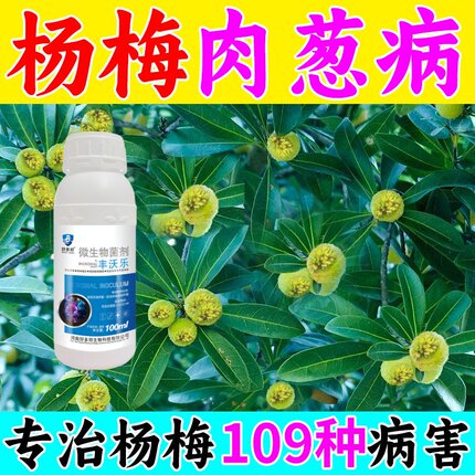 杨梅树专用剂癌肿病褐斑病卷叶黄叶红斑病杨梅保花保果专用肥料