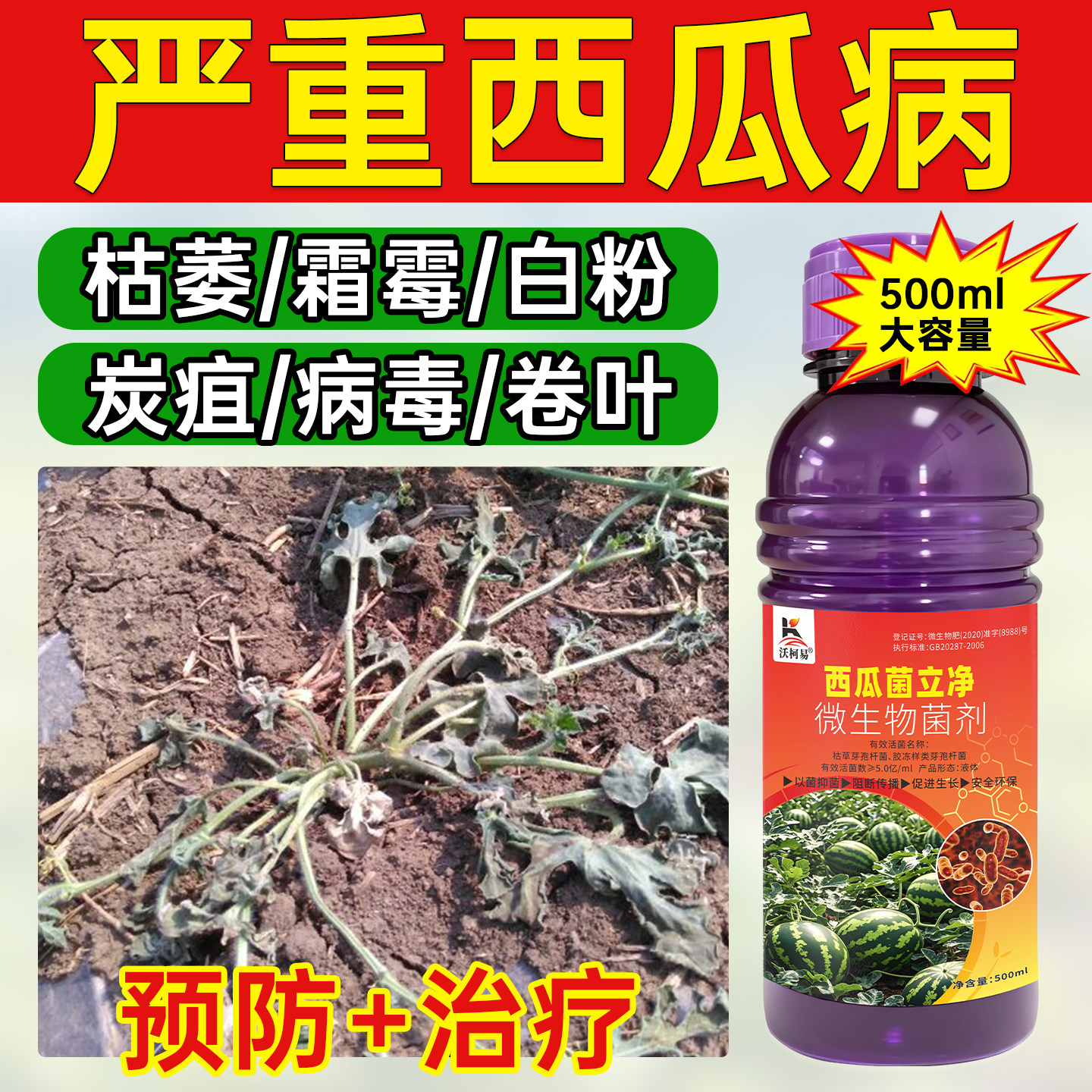西瓜病专用西瓜蔓枯病白粉炭疽脐疫病卷叶枯萎猝倒霜霉生物杀菌剂