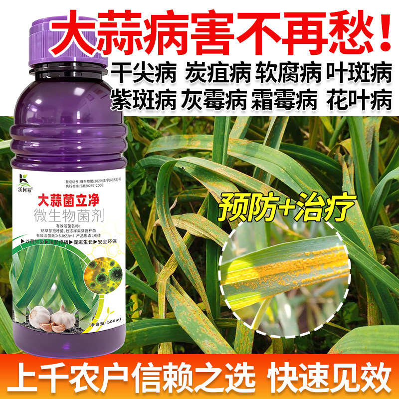 大蒜病专用大蒜黄叶干尖根腐炭疽紫斑菌核霜霉枯萎猝倒生物杀菌剂