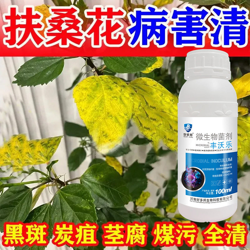扶桑花黄叶病营养液木槿花叶子发黄掉花苞专用肥重瓣朱瑾养花肥料