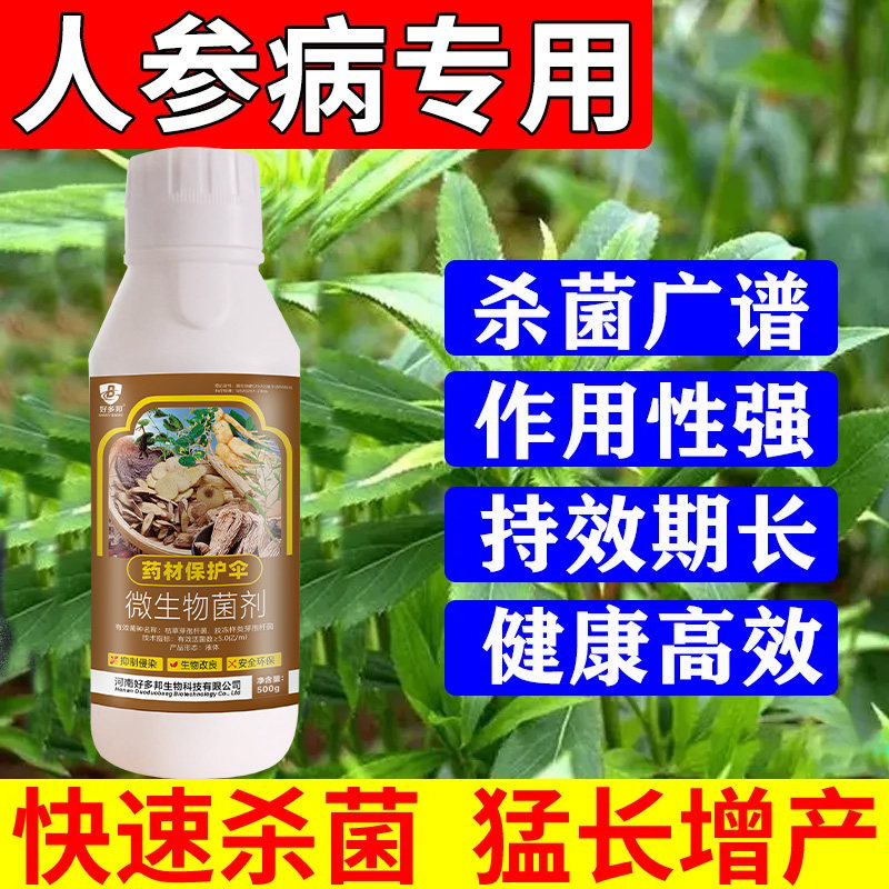 丹参党参太子参玄参人参菌核病锈腐病疫病黑斑病立枯病人参杀菌剂
