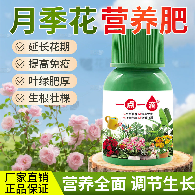 月季蔷薇专用营养液室内花卉绿植通用花肥预防黄叶植物专用肥料