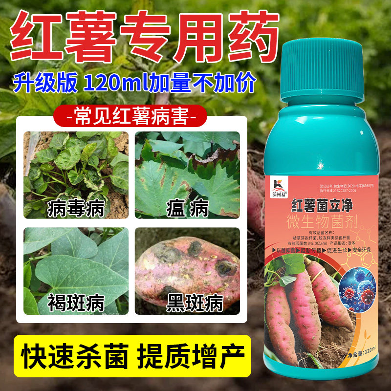红薯菌立净红薯病害清瘟病褐斑黄叶软腐卷叶糠心炭疽白粉杀菌剂