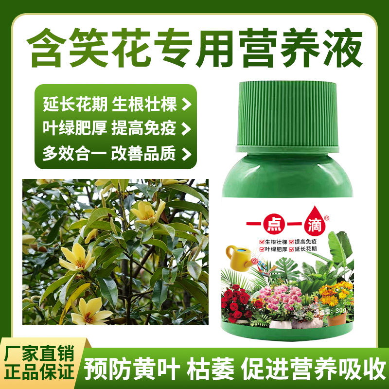 含笑花专用肥料盆栽大树苗土壤花肥营养液叶面肥氮磷钾水溶化肥料