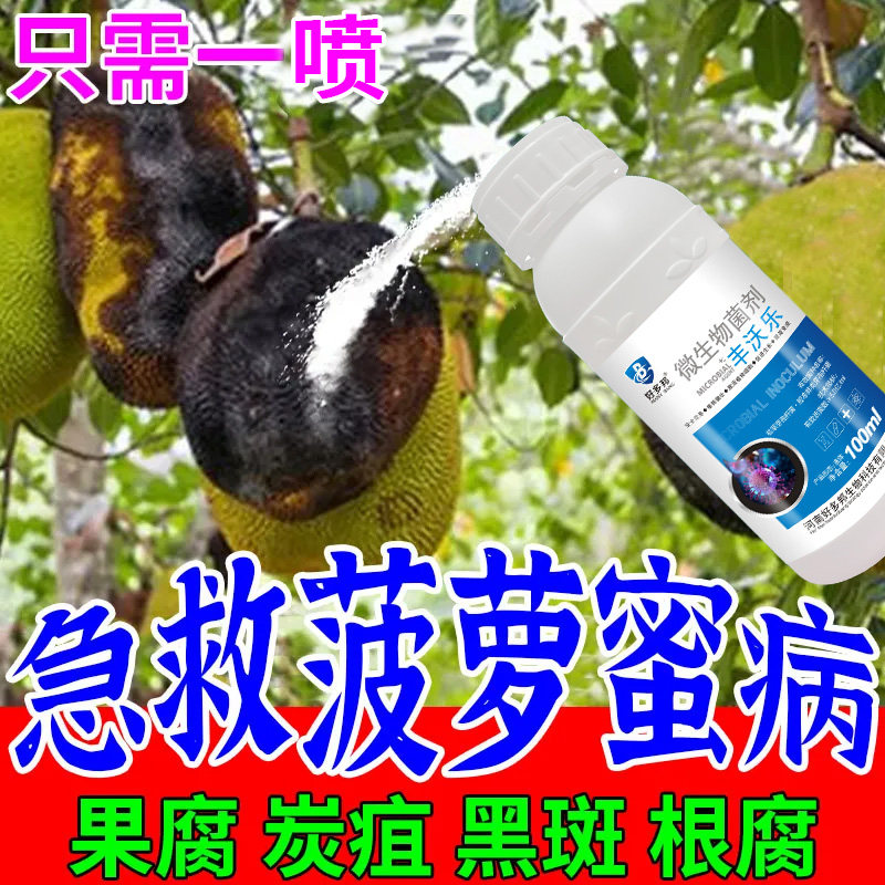 菠萝蜜专用药病全治菠萝蜜杀菌剂炭疽病裂果菠萝蜜果腐病药果腐病