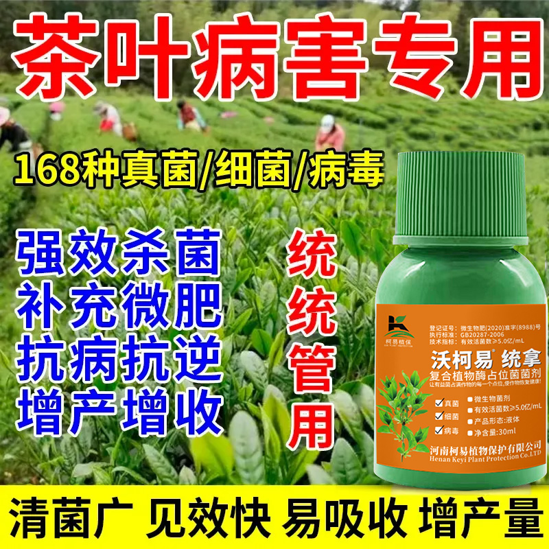 茶树病全治专用杀菌剂卷叶黄叶茶饼病黑星病芽枯叶斑病正品农用肥