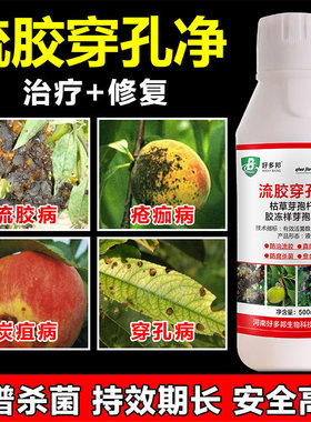 流胶病专用药流胶一喷净桃树果树花椒柑橘溃疡病腐烂病流胶穿孔净