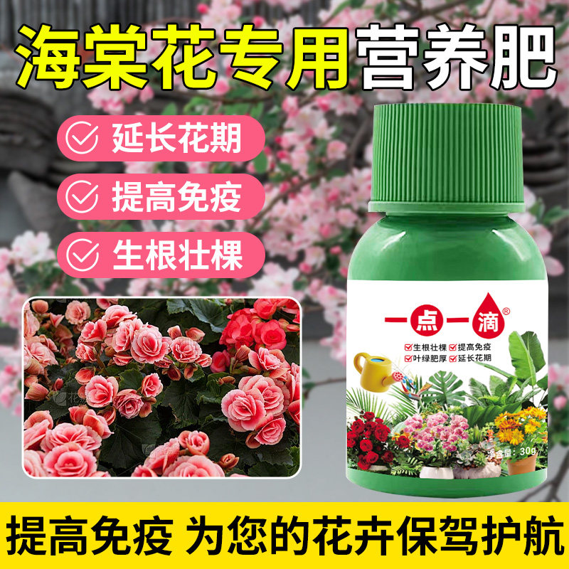 【一滴爆花】海棠花营养液盆栽四季海棠专用肥催开花稀释液体肥