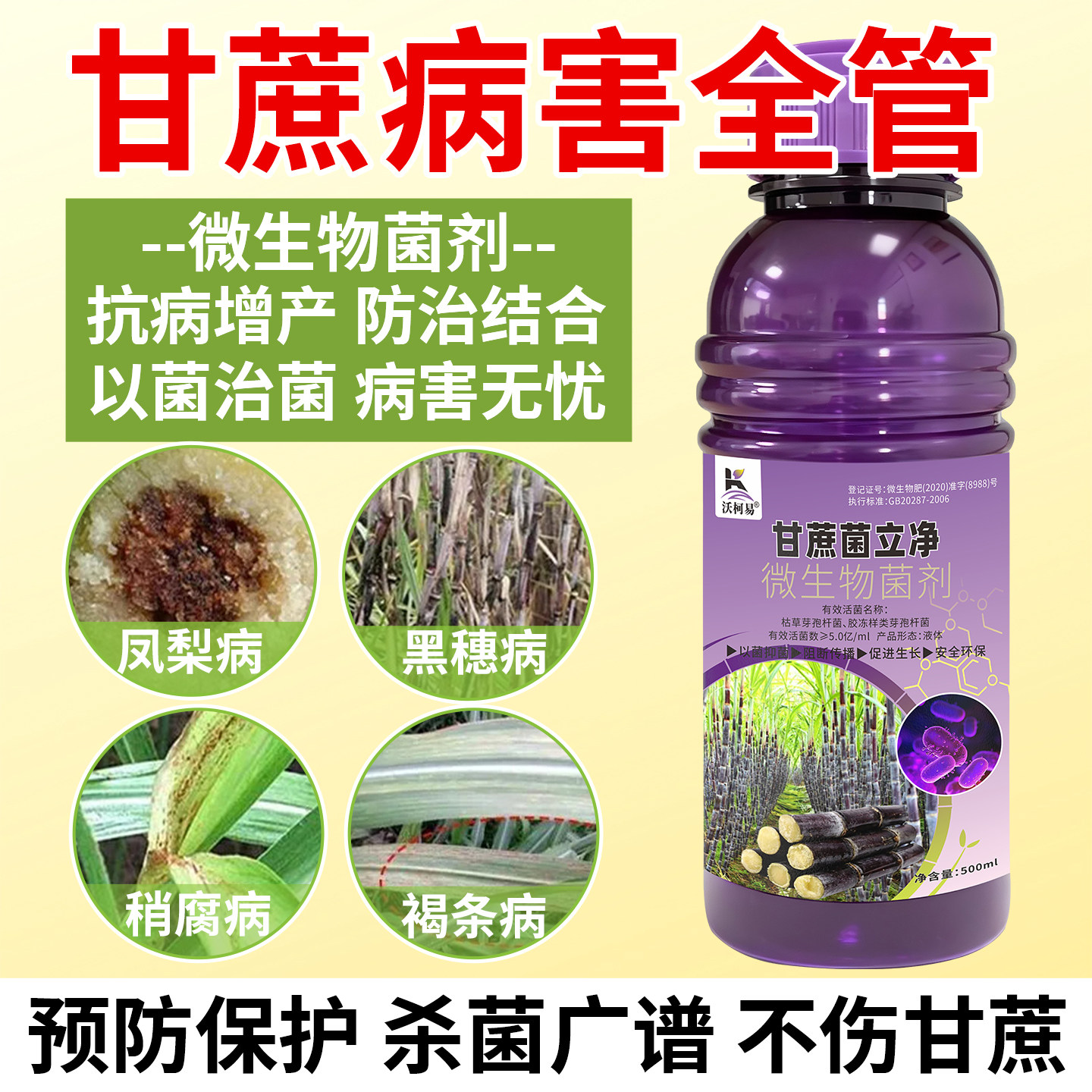 甘蔗专用菌立净黑穗凤梨黄斑梢腐红壳霜霉锈病黄叶根腐生物杀菌剂