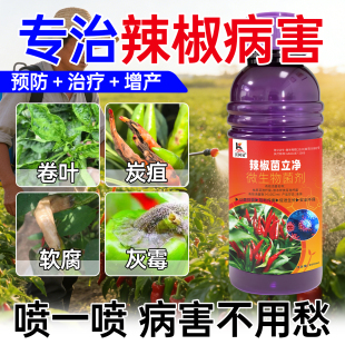 辣椒专用杀菌剂辣椒青枯病辣椒卷叶病毒病炭疽病软腐病菌核病疫病