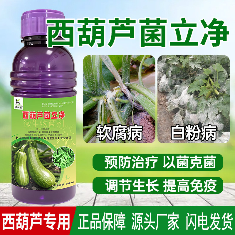 西葫芦专用杀菌剂种植帮手黄叶枯萎白粉炭疽软腐灰霉白粉菌核银叶