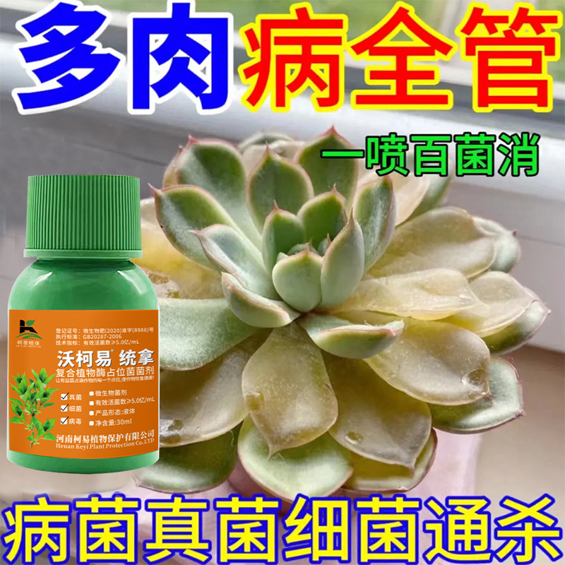 多肉病害专用杀菌剂叶子黑腐化水掉叶白粉烟煤病百菌清肥料营养液