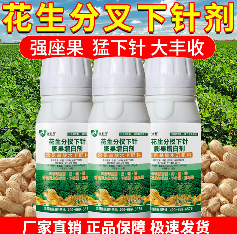 花生分杈下针剂窝窝多花生高产必用开花多下针多粒粒饱抗病增产