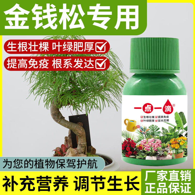 金钱松专用肥营养液促开花防黄叶水溶肥家用盆栽植物通用型液体肥