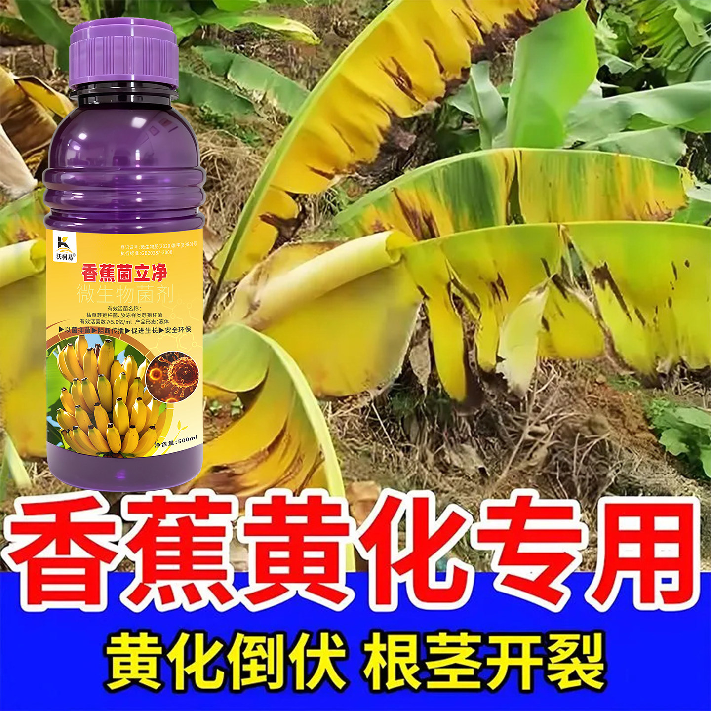 香蕉病害专用药香蕉巴拿马病黄叶枯萎病根腐病炭疽病黑星病专用剂