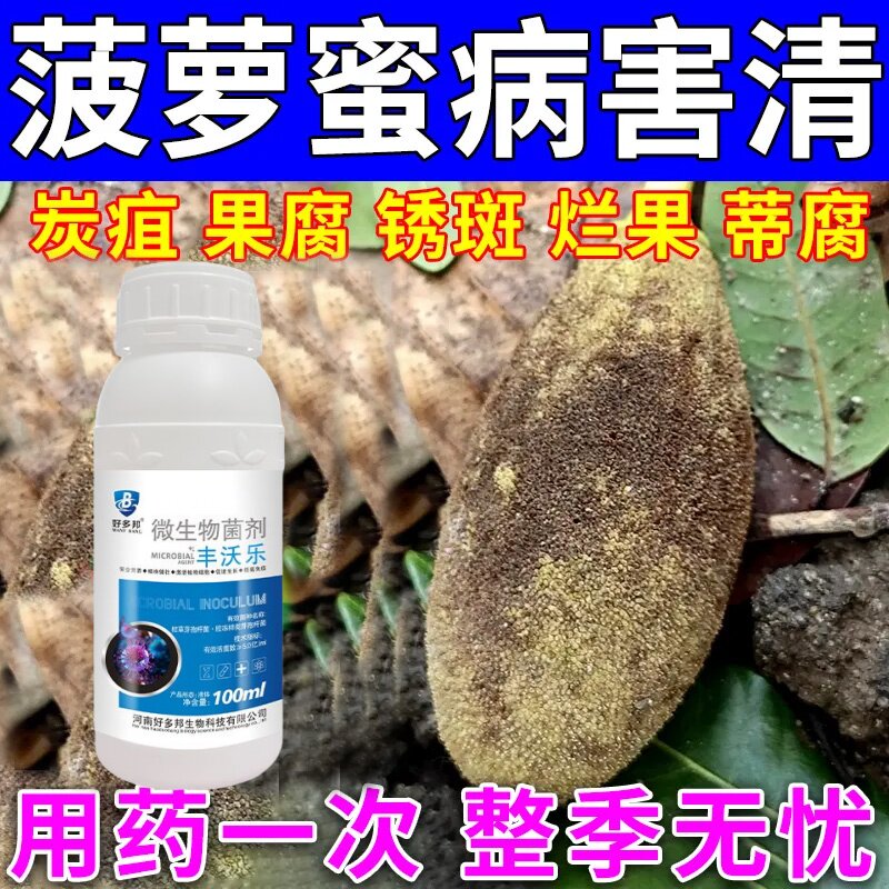 菠萝蜜专用药病全治菠萝蜜果腐病炭疽病裂果病特效杀菌剂灰霉病