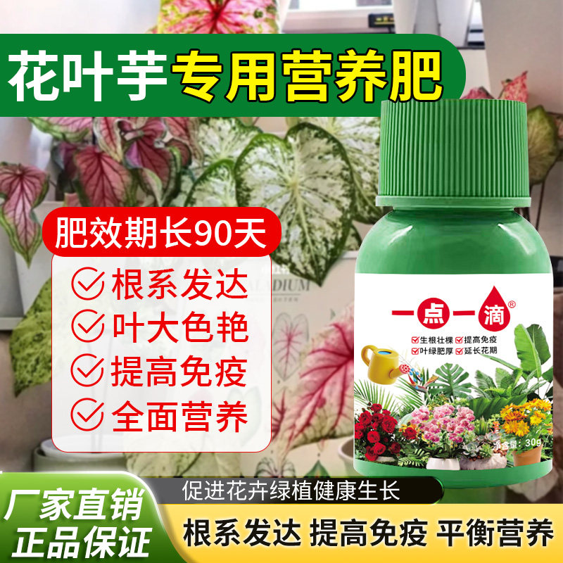 花叶芋营养液绿植花卉专用肥料水培花肥土培植物阳台盆栽家用园艺