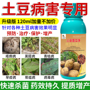沃柯易土豆菌立净早疫疮痂黑胫叶斑青枯炭疽软腐白绢灰霉专用药