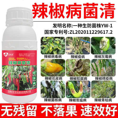 辣椒病害清专利技术配方辣椒花叶卷叶病毒病烂皮烂果炭疽病软腐病