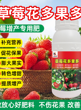 草莓花多果多补充草莓营养调节生长发芽分化促花保果膨果转色增甜