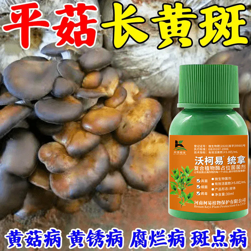 平菇黄菇净防虫药平菇蚊菌蘑菇专用杀菌粉灭菌剂青霉软腐褐腐斑点