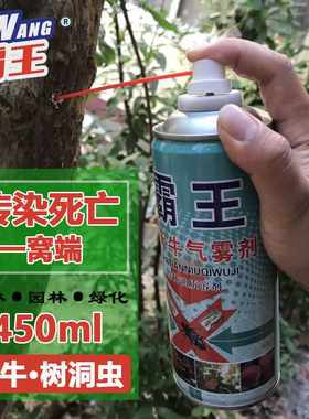 霸王全窝端木材白蚁杀虫剂