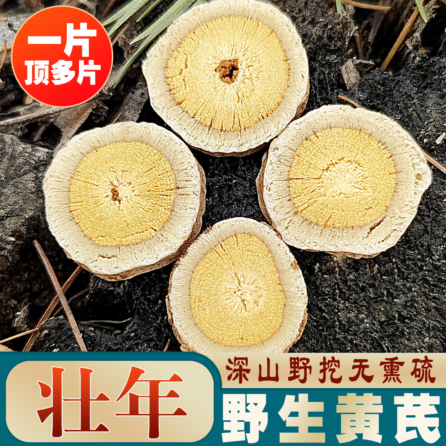 壮年黄芪野生黄芪片干货500g深山野挖无硫熏一片顶多片东北内蒙古