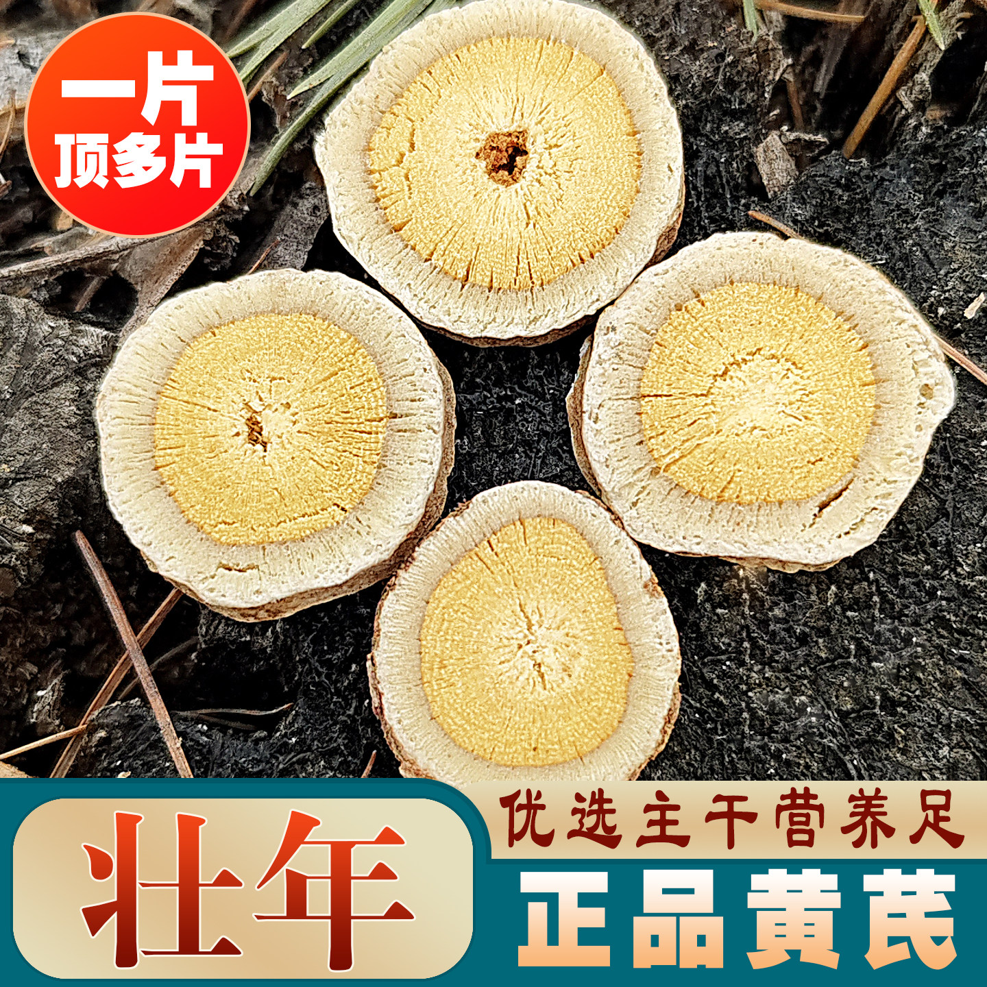 壮年黄芪主干黄芪片干货500g无硫熏一片顶多片东北内蒙古黄芪