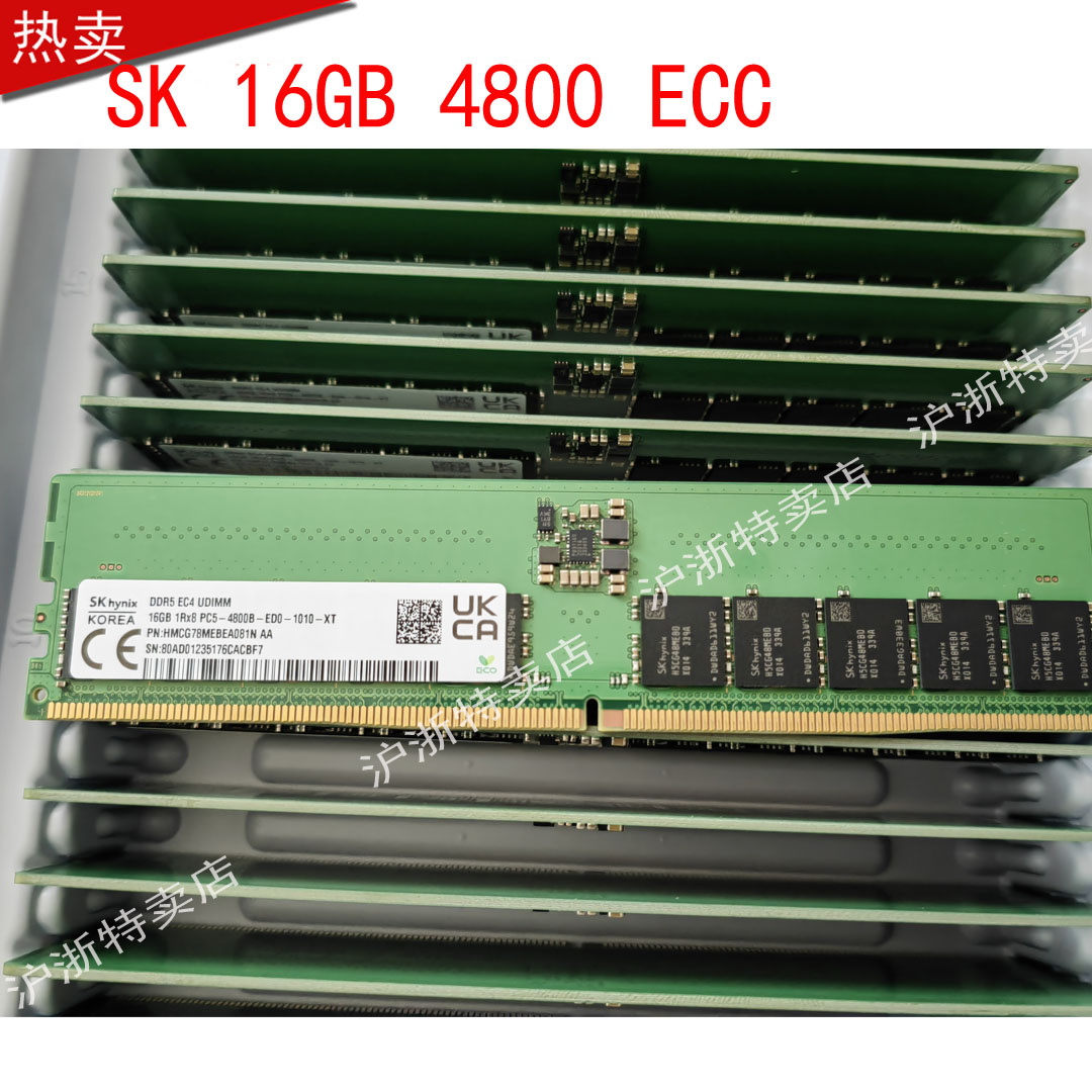 SK海力士 DDR5 EC4 UDIMM 16G 4800B HMCG78MEBEA081N 纯ECC内存