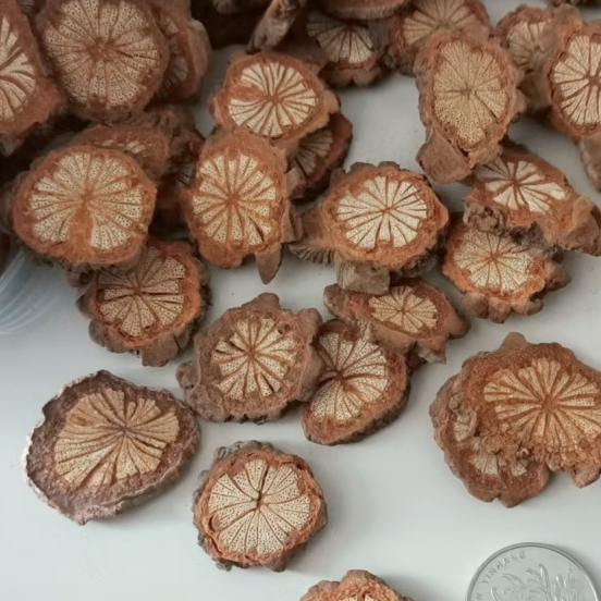 干花DIY装饰手工道具血藤花