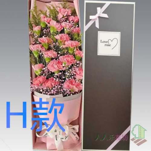 生日探望康乃馨四川内江花店送花隆昌县市中区东兴区同城鲜花速递