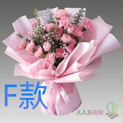 生日康乃馨黑龙江鹤岗订花店送花兴山区萝北县绥滨县同城鲜花快递