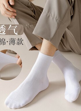 【日常款】老猫 纯棉抗起球男女士袜子中筒夏季透气袜吸汗排湿袜