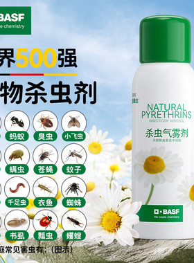 巴斯夫杀虫气雾剂家用室内非无毒灭除螨虫跳蚤蚂蚁臭虫蟑螂药喷雾