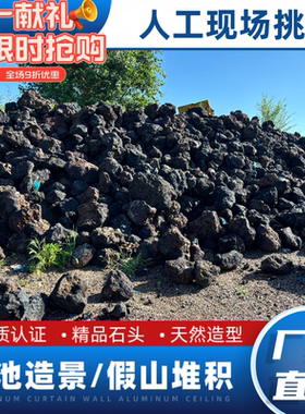 20-70厘米黑色大块火山石鱼池假山造景火山石草缸造景假山培菌