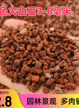 火山石鱼缸垫底多肉铺面