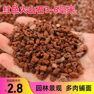 火山石鱼缸垫底多肉铺面