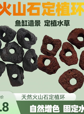 水草固定种植红色火山石水草定植环鱼缸造景装饰水草定植火山石