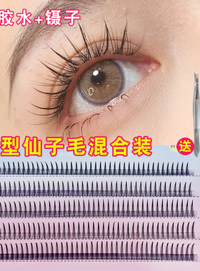 假睫毛A型仙子毛单簇分段式嫁接