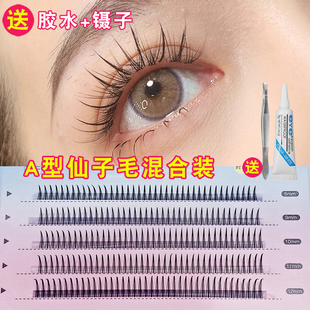 a型仙子毛混合装仙女毛假睫毛虞书欣单簇分段式嫁接芭比自然朵毛