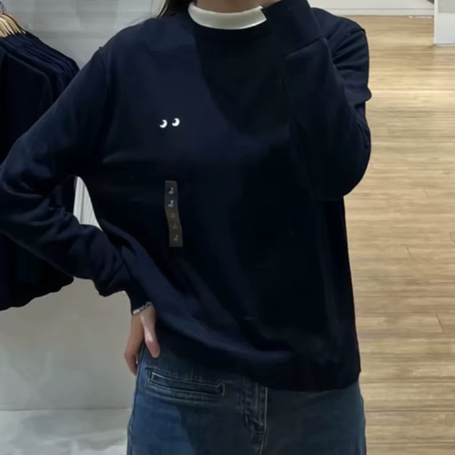 C513试衣间春新款大眼睛刺绣圆领针织衫长袖毛衣男女