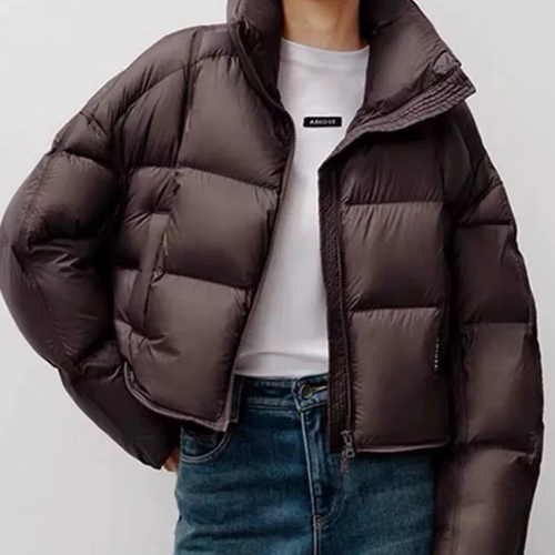 A813冬季新款时尚百搭立领短款羽绒服外套女4143