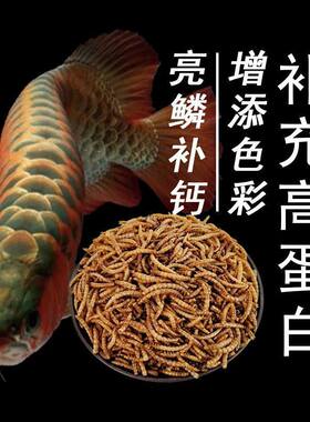 银龙鱼饲料小金龙鱼粮金龙鱼食金龙鱼高蛋白观赏鱼大全七彩银龙鱼