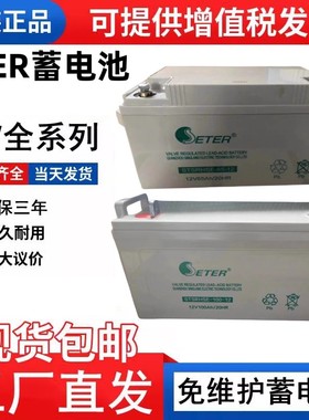 ETER蓄电池HSE-65-12 12V100A65A55A40A24A17AH直流屏UPS电源消防