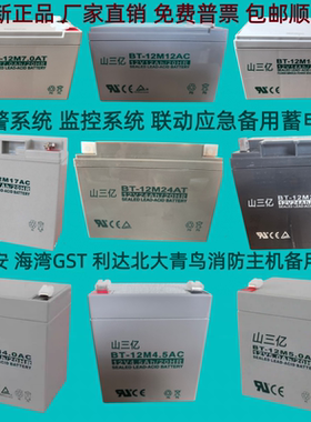 消防主机UPS电源直流屏电梯平层
