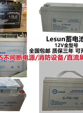 Lesun蓄电池6-FM-40/12V20A24A38A40A65AH100AH机房UPS电源直流屏