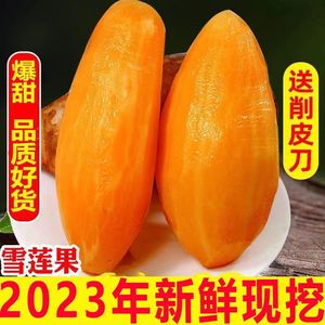 云南天山雪莲果新鲜9斤红心特级雪连果应当季水果整箱包邮10