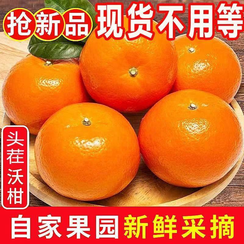 新鲜现摘沃柑水果当季时令一级沙糖蜜橘砂糖柑橘桔子整箱包邮,水产肉类/新鲜蔬果/熟食,桔子,淘宝优惠券,粉丝福利购,淘宝优惠卷