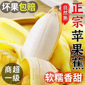 广西苹果蕉新鲜香蕉9斤自然熟当季水果芭蕉小米蕉整箱包邮banana