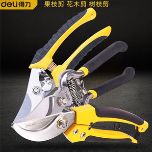 得力8寸弯嘴花木剪 园林树枝剪园艺剪修枝花枝剪刀果枝剪DL2789A